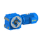 EED E-SF Helical-Worm Geared Reducer B5 flange mounted